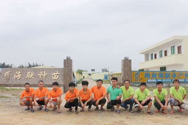 1767512202192415.jpg 8.jpg